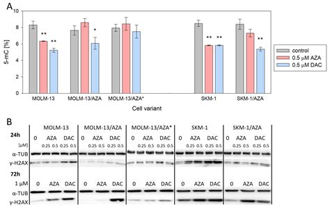 Cancers Free Full Text Resistance Of Leukemia Cells To