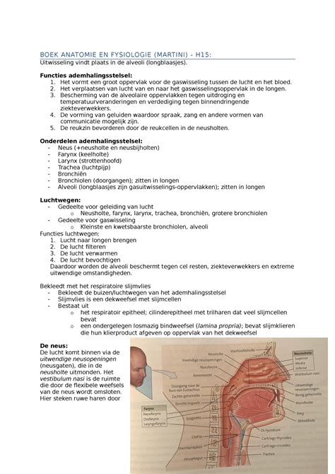 Boek Anatomie En Fysiologie Martini Hoofdstuk 15 BOEK ANATOMIE EN