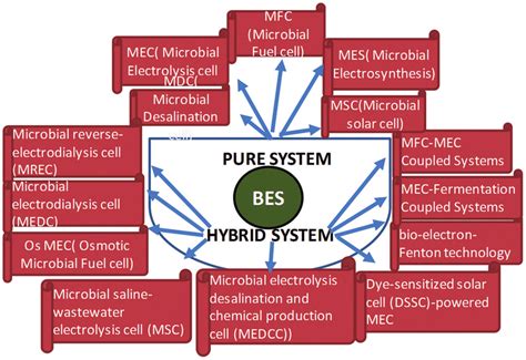 Various Bioelectrochemical Systems Bess Download Scientific Diagram