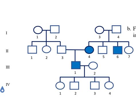 Solved Pedigrees Be Sure To Be Able To Distinguish Chegg