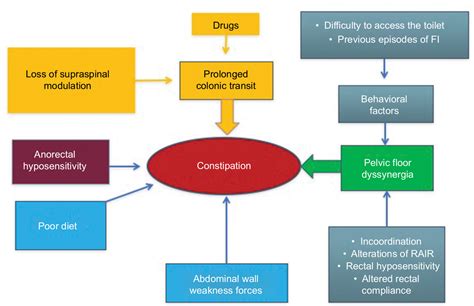 Neurogenic Bowel Dysfunction In Patients With Multiple Sclerosis Prev