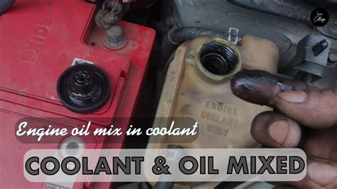 Engine Oil Coolant Mixing Solution How To Change Oil Cooler Maruthi