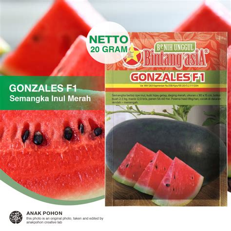 Jual Pack Benih Semangka Gonzales F Tipe Inul Merah Berbiji