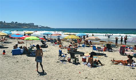 Snorkeling La Jolla Shores - Swim With Leopard Sharks