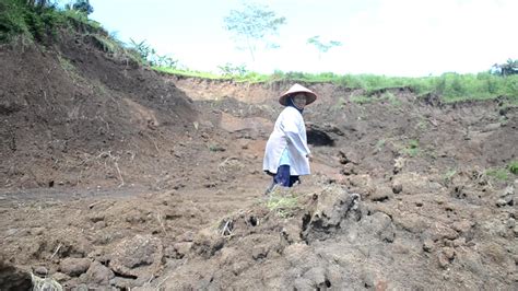 Berita Magelang Irigasi Tertimbun Longsor Petani Antisipasi Gagal Panen