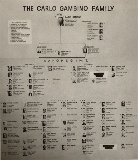 Gambino chart | Mafia, Mafiosos, Crimen