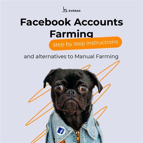 how to farm facebook accounts