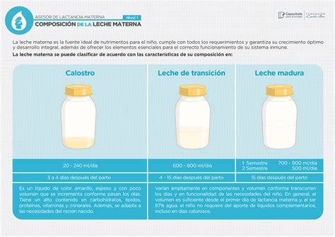 Composición de la leche materna Nivel 1 COMPOSICIÓN DE LA