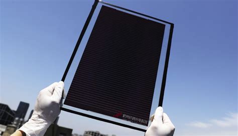 Chinese Pv Industry Brief Microquanta Builds Mw Ground Mounted