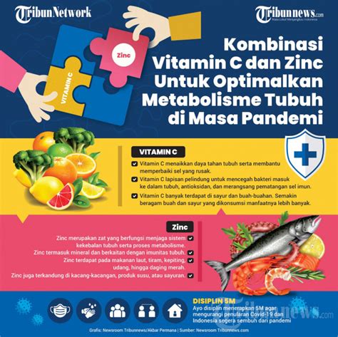 INFOGRAFIK Kombinasi Vitamin C Dan Zinc Foto 1 1892944 TribunNews