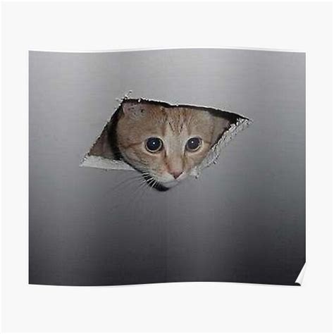 Ceiling Cat Meme Premium Matte Vertical Poster sold by Brandon Nelson ...