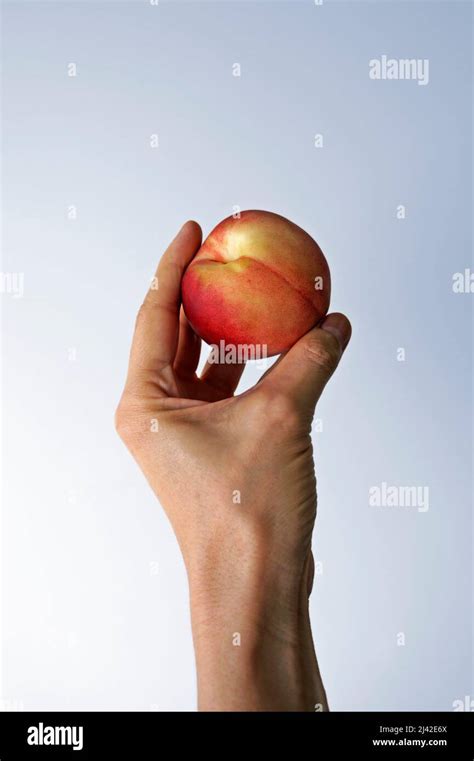 Peach On Hand In A Bright Background Stock Photo Alamy