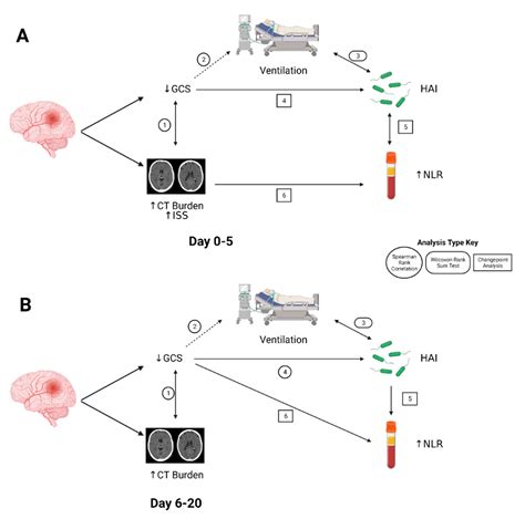 Jcm Free Full Text Neutrophil To Lymphocyte Ratios And Infections