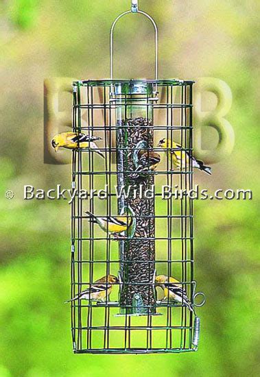 Bird Feeder Cage - Bird FeedersBird Feeders