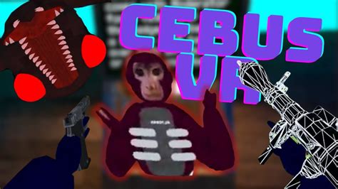 Cebus Vr Looks Completely Different Youtube