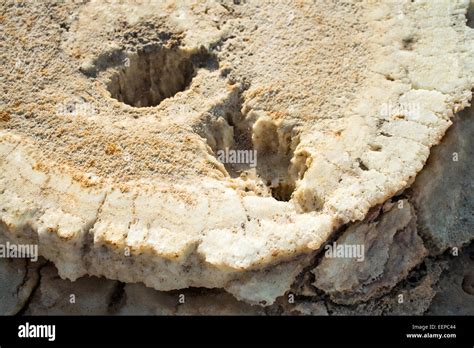 Salt Formations on Saltwater Lake, Dallol, Danakil Desert, Ethiopia, Africa Stock Photo - Alamy