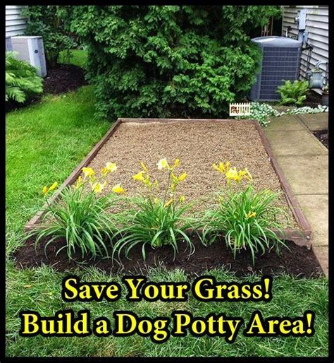 Garden Ideas Backyard Dog Area Dog Potty Area Diy Dog Stuff