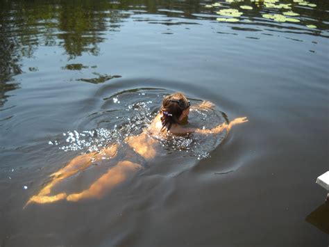 Homemade Gallery 9131 IMG 133 Porn Pic