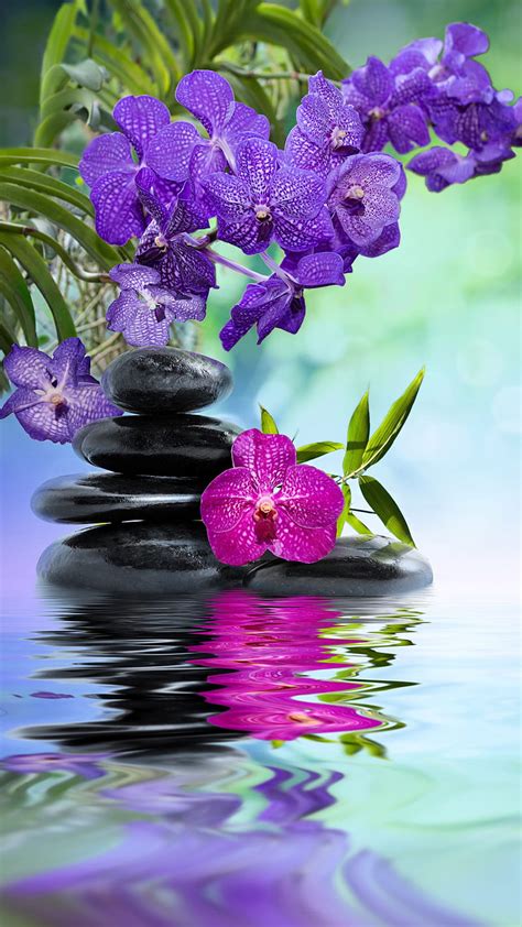 Stones On The Water Flowers Lake Purple Stone Hd Phone Wallpaper