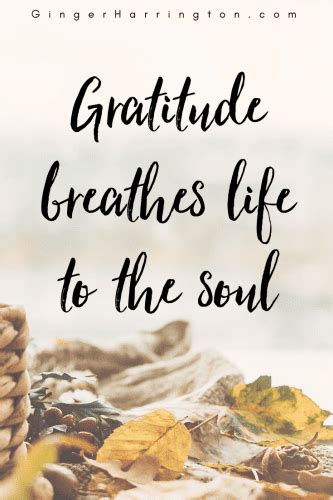 gratitude matters  truths  tips   grateful life ginger