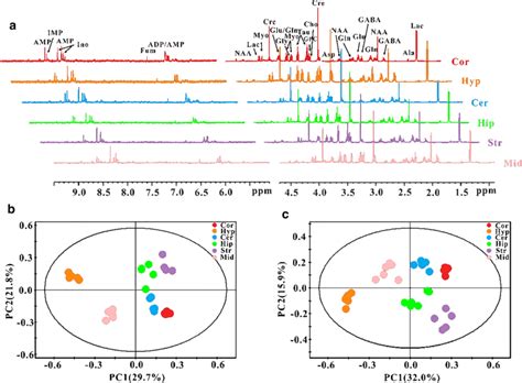 NMR based metabolomics analysis a Typical 600 MHz ¹H NMR spectra of