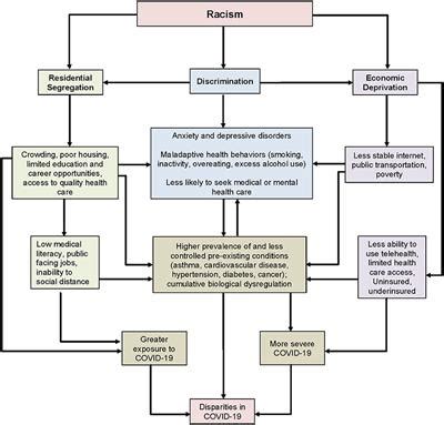 Frontiers Investigating A Key Structural Determinant Of Health