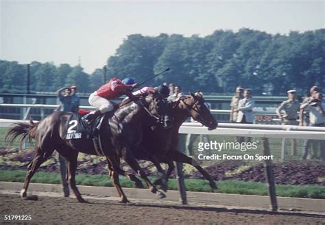 Affirmed Photos And Premium High Res Pictures Getty Images