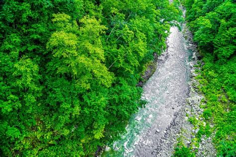 Premium Photo | River in biei town hokkaido