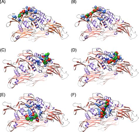 Discovery of Heparin Mimetic, Potent, and Selective Inhibitors of Human ... 