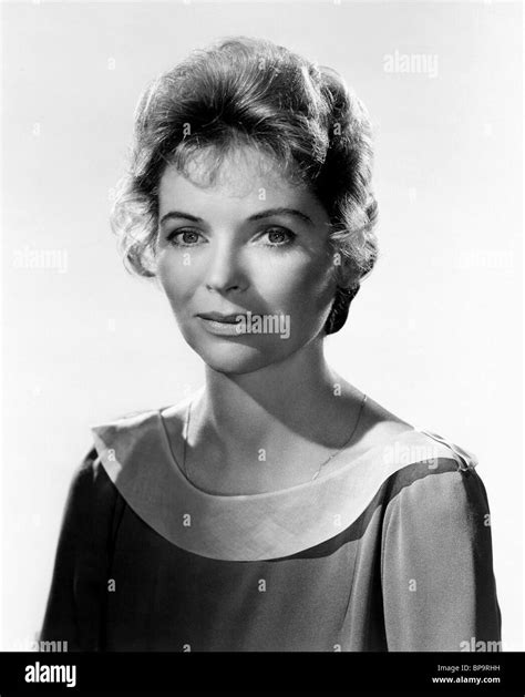 Dorothy Mcguire Stock Photos And Dorothy Mcguire Stock Images Alamy