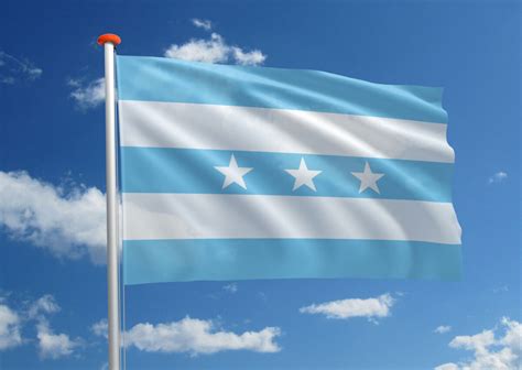 Streekvlag Guayas Bestel Bij MastenenVlaggen Nl