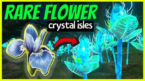 Rare Flower Ark Crystal Isles Youtube