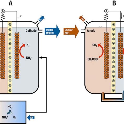 3 diagram of an oxidation ditch. | Download Scientific Diagram