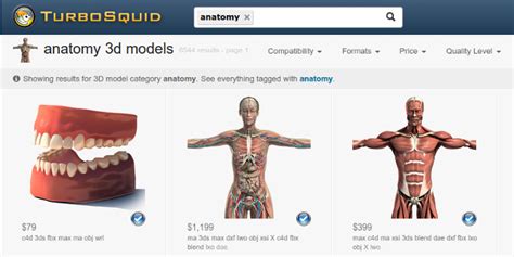 Where To Download High Quality 3d Anatomy Models