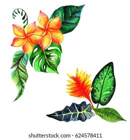 Handpainted Watercolor Set Poster Green Leaves Stock Illustration