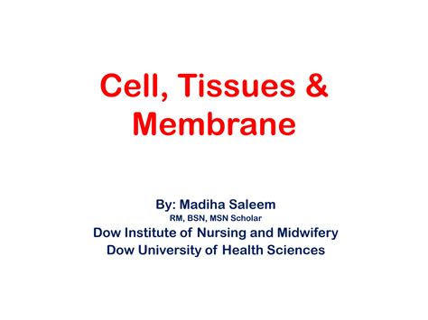 SOLUTION: Cell membrane tissue - Studypool 