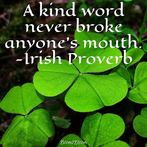 Pin On Irish Heritage Irish Quotes Irish Proverbs Quotes