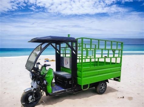 Allfine Electric Rickshaw Allfine E Rickshaw Latest Price Dealers