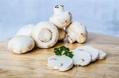 Pan India Button Mushroom Natural Fresh White Mushroom Packaging