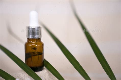 Blank Amber Glass Essential Oil Bottle With Pipette On Tropical Leaf