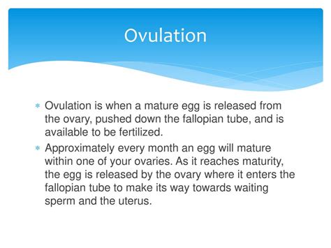 Ovulationmenstruation Ppt Download