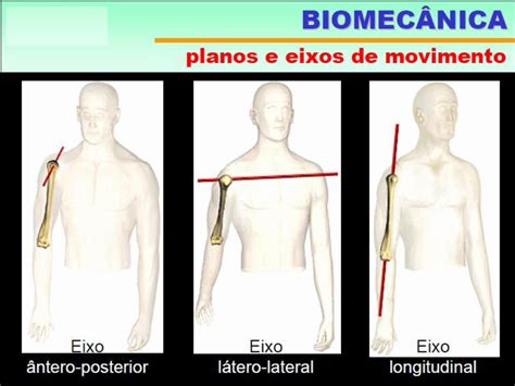 Pdf Biomec Nica Do Movimento Nica E Cinesiologia An Lise De