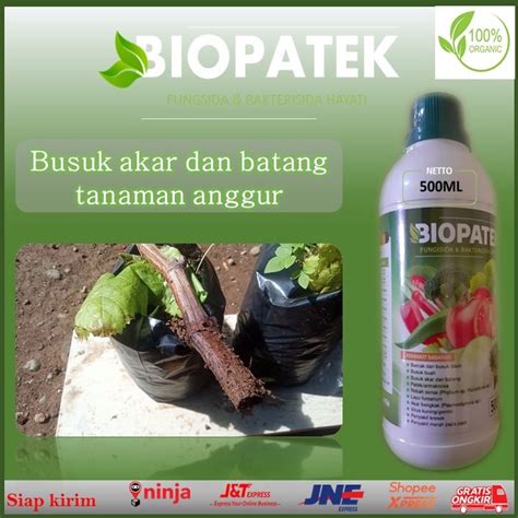 Jual Pupuk Organik Cair Biopatek Fungsida Dan Bakteri Sida Hayati Isi