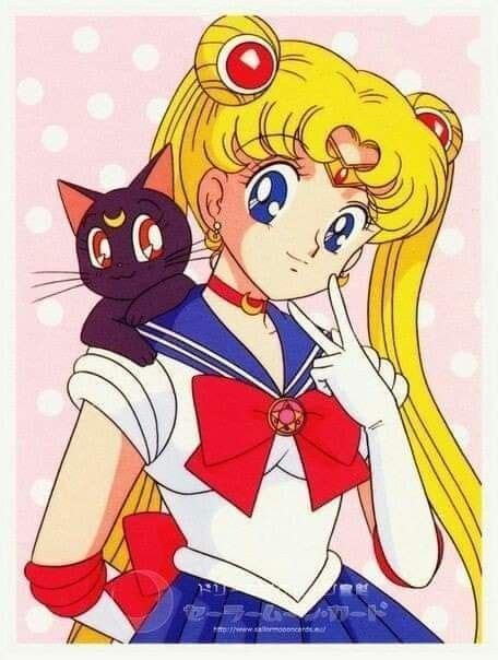 Pin De Michelle Lawliet Yagami En Sailor Moon Gato De Sailor Moon