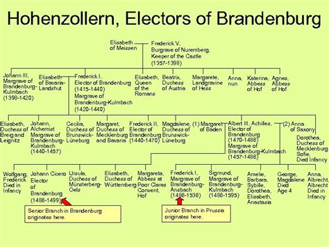 Prussian Family Trees Hohenzollern Electors of Brandenburg