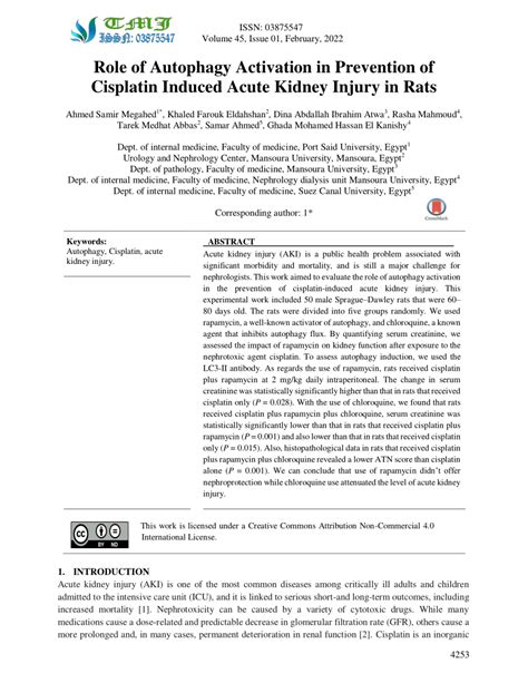 Pdf Role Of Autophagy Activation In Prevention Of Cisplatin Induced