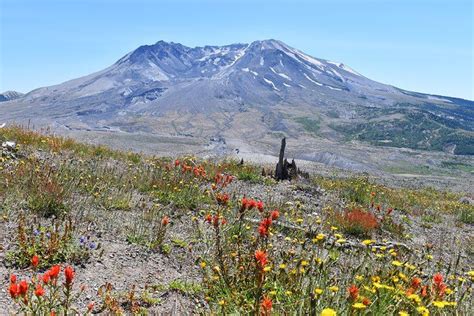 13 Top-Rated Hiking Trails at Mount St. Helens | Hiking trails ...