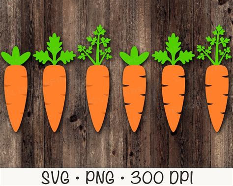 Carrot SVG Vector Cut File And PNG Transparent Background Etsy