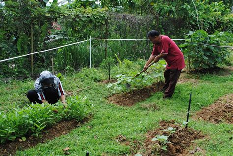 Kraftangan Malaysia Cawangan Perak Gotong Royong Dan Berkebun