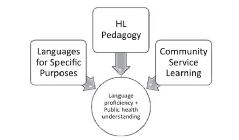 Pedagogical Foundations Of Hl Learning For The Health Professions